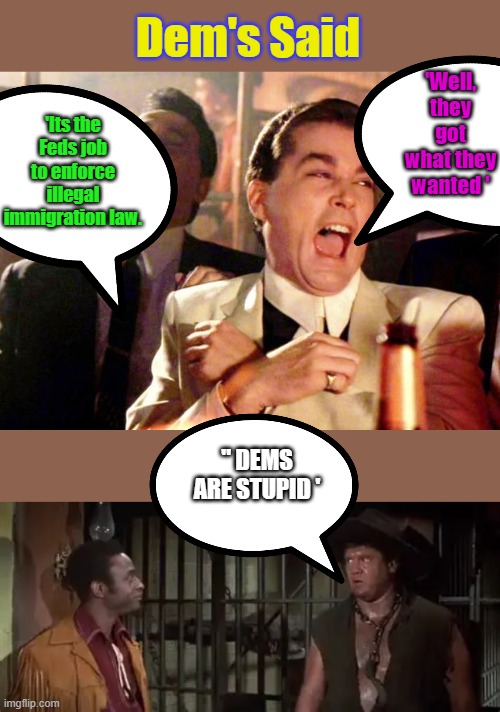 Mongo is right again. | Dem's Said; 'Well, they got what they wanted '; 'Its the Feds job to enforce illegal immigration law. " DEMS ARE STUPID ' | image tagged in goodfellas laugh | made w/ Imgflip meme maker