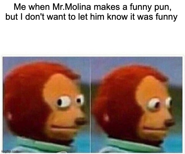 Monkey Puppet | Me when Mr.Molina makes a funny pun, but I don't want to let him know it was funny | image tagged in memes,monkey puppet | made w/ Imgflip meme maker