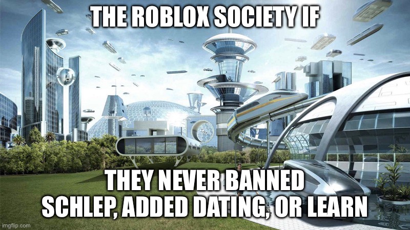 Don’t do that again roblox | THE ROBLOX SOCIETY IF; THEY NEVER BANNED SCHLEP, ADDED DATING, OR LEARN | image tagged in the future world if | made w/ Imgflip meme maker
