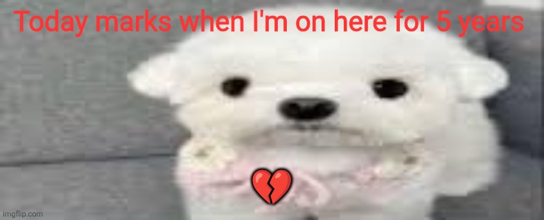 Dog stating | Today marks when I'm on here for 5 years; 💔 | image tagged in dog stating | made w/ Imgflip meme maker