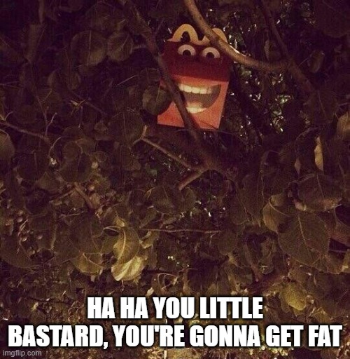 Happy Meal Wish | HA HA YOU LITTLE BASTARD, YOU'RE GONNA GET FAT | image tagged in dark humor | made w/ Imgflip meme maker