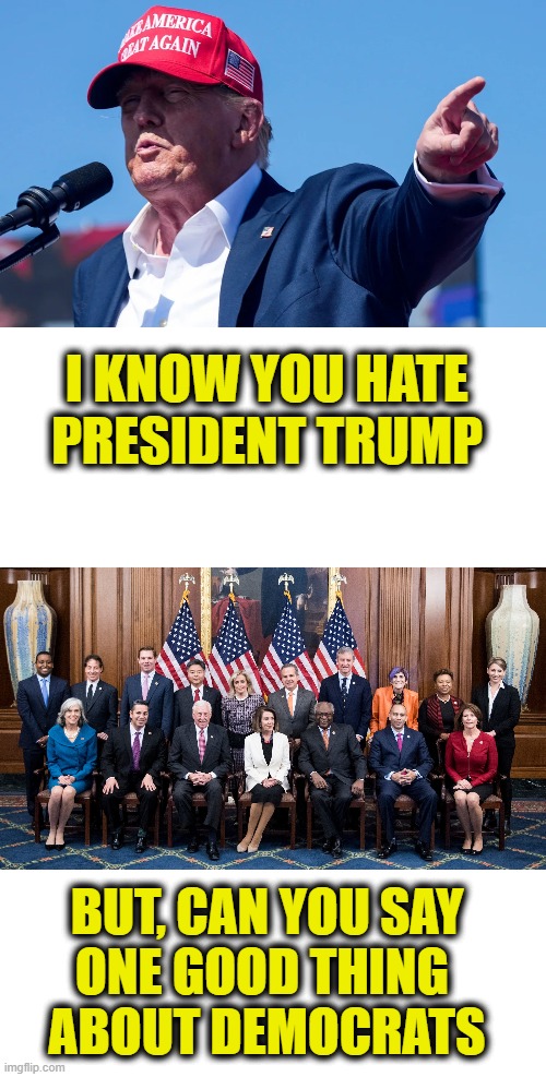 TDS must be a bitch! | I KNOW YOU HATE
PRESIDENT TRUMP; BUT, CAN YOU SAY
ONE GOOD THING 
ABOUT DEMOCRATS | image tagged in president trump | made w/ Imgflip meme maker