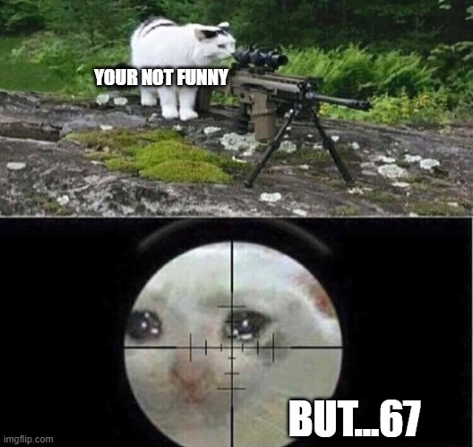 Sniper cat | YOUR NOT FUNNY; BUT...67 | image tagged in sniper cat | made w/ Imgflip meme maker