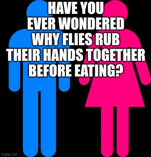 HAVE YOU EVER WONDERED WHY FLIES RUB THEIR HANDS TOGETHER BEFORE EATING? | image tagged in male bathroom symbol,female bathroom symbol,flies | made w/ Imgflip meme maker