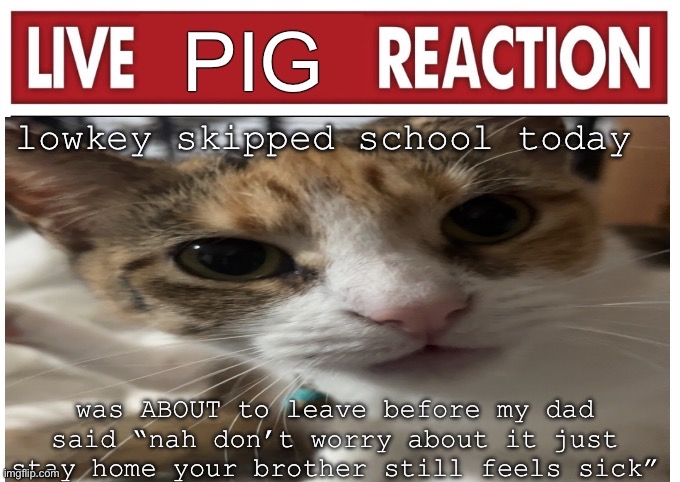 i made sure i got 5 hours extra sleep after that lmao | lowkey skipped school today; was ABOUT to leave before my dad said “nah don’t worry about it just stay home your brother still feels sick” | image tagged in woah | made w/ Imgflip meme maker