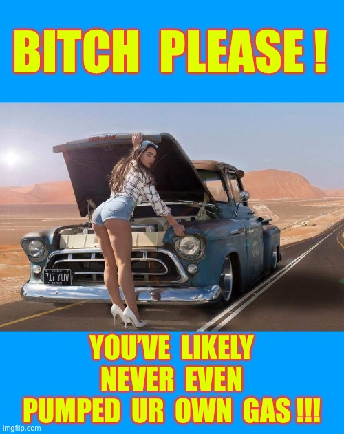 ASSUMING THE LOGICAL & THE CRAZY !!!  : ) | BITCH  PLEASE ! YOU’VE  LIKELY
NEVER  EVEN
PUMPED  UR  OWN  GAS !!! | image tagged in sexy girl car | made w/ Imgflip meme maker