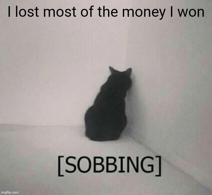 Sobbing cat | I lost most of the money I won | image tagged in sobbing cat | made w/ Imgflip meme maker