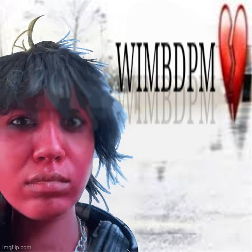 Why's my bus driver playing mitski | image tagged in wimbdpm | made w/ Imgflip meme maker