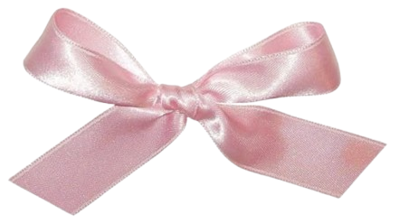 pink bow Blank Meme Template