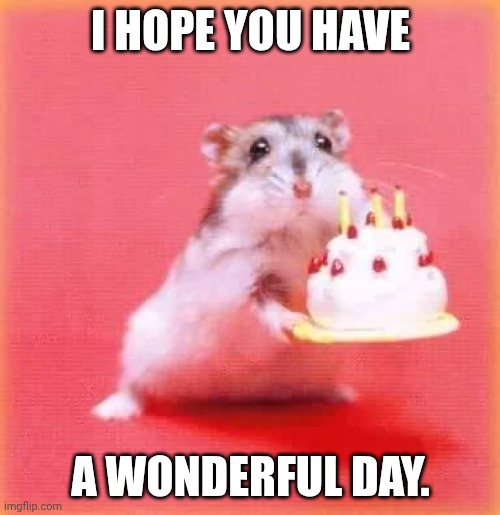 birthday hamster | I HOPE YOU HAVE A WONDERFUL DAY. | image tagged in birthday hamster | made w/ Imgflip meme maker
