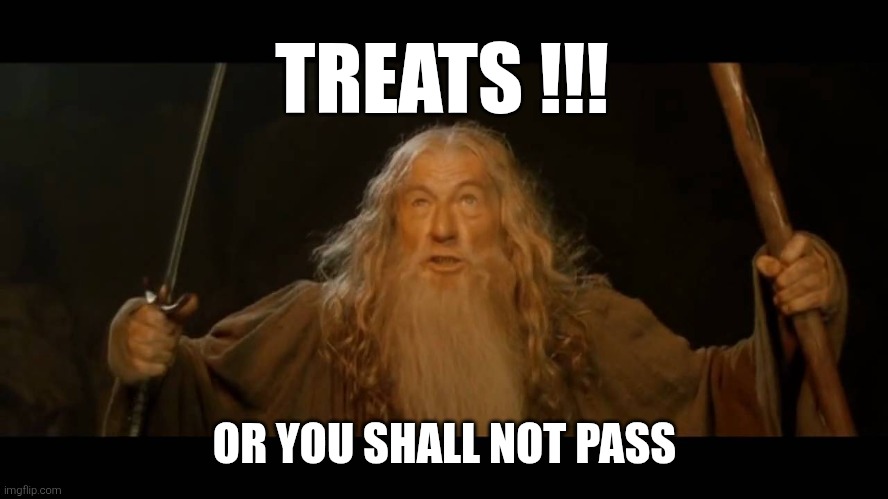 Gandalf - you shall not pass | TREATS !!! OR YOU SHALL NOT PASS | image tagged in gandalf - you shall not pass | made w/ Imgflip meme maker