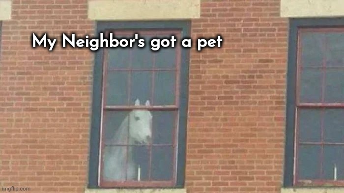 The Super's gonna be pissed | My Neighbor's got a pet | image tagged in horse,house pet,that's not how this works,clean up,terrible,manure | made w/ Imgflip meme maker