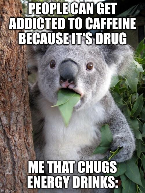 Surprised Koala Meme | PEOPLE CAN GET ADDICTED TO CAFFEINE BECAUSE IT'S DRUG; ME THAT CHUGS ENERGY DRINKS: | image tagged in memes,surprised koala | made w/ Imgflip meme maker