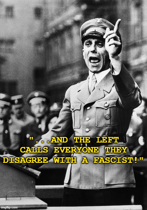 Show me on this doll where "The Left" hurt you | "...AND THE LEFT CALLS EVERYONE THEY DISAGREE WITH A FASCIST!" | image tagged in fascist,politics,the left,leftists,liberals,maga | made w/ Imgflip meme maker