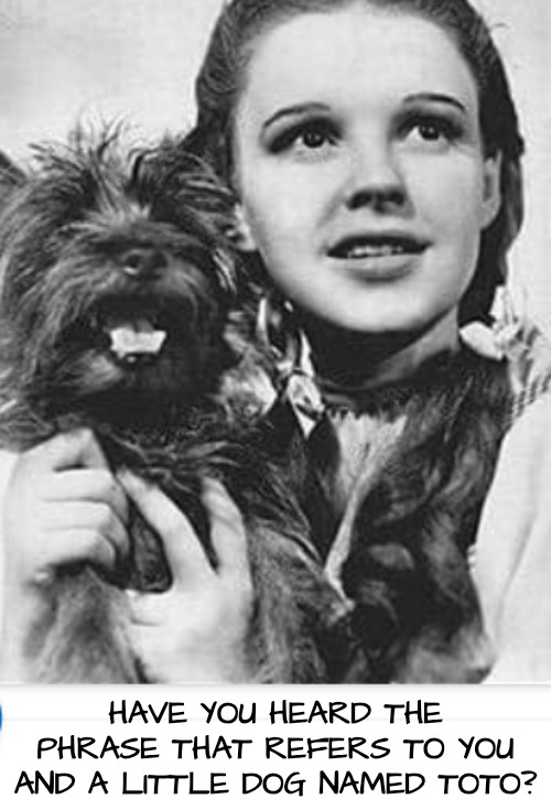 HAVE YOU HEARD THE PHRASE THAT REFERS TO YOU AND A LITTLE DOG NAMED TOTO? | made w/ Imgflip meme maker