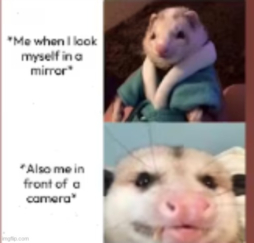 screenshot from youtube | made w/ Imgflip meme maker