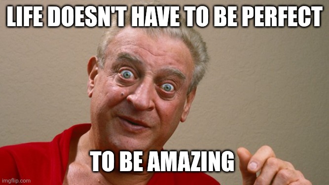 Life doesn't have to be Perfect | LIFE DOESN'T HAVE TO BE PERFECT; TO BE AMAZING | image tagged in rodney dangerfield,funny memes | made w/ Imgflip meme maker