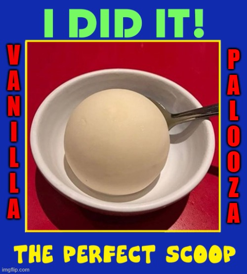 This is the only proof I have left | P
A
L
O
O
Z
A; V
A
N
I
L
L
A | image tagged in vince vance,vanilla,ice cream,perfect,scoop,dessert | made w/ Imgflip meme maker