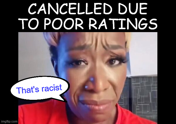 CANCELLED DUE TO POOR RATINGS That's racist | made w/ Imgflip meme maker