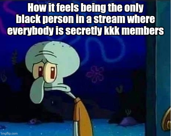 Sad Squidward | How it feels being the only black person in a stream where everybody is secretly kkk members | image tagged in sad squidward | made w/ Imgflip meme maker
