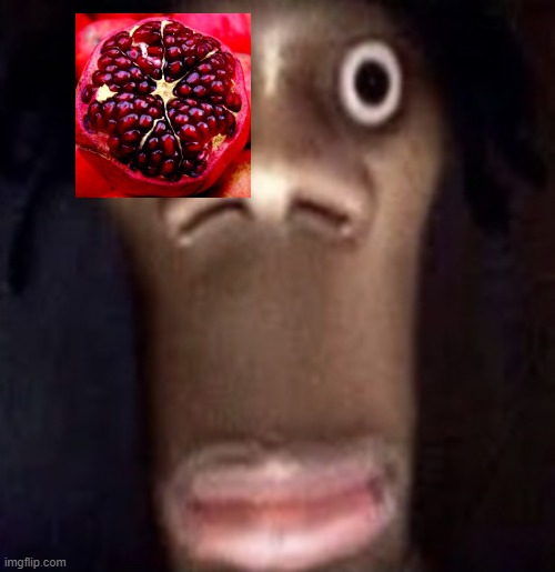 Quandale dingle | image tagged in quandale dingle | made w/ Imgflip meme maker