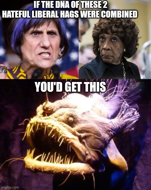 liberal women memes | IF THE DNA OF THESE 2 HATEFUL LIBERAL HAGS WERE COMBINED; YOU'D GET THIS | image tagged in liberals | made w/ Imgflip meme maker
