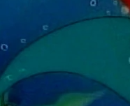 Ariel's tail Blank Meme Template