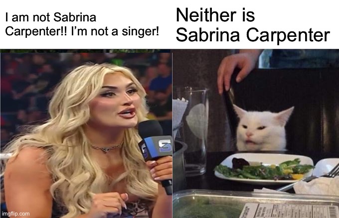 Cat roasts Tiffany and Sabrina | I am not Sabrina Carpenter!! I’m not a singer! Neither is Sabrina Carpenter | image tagged in memes,woman yelling at cat | made w/ Imgflip meme maker