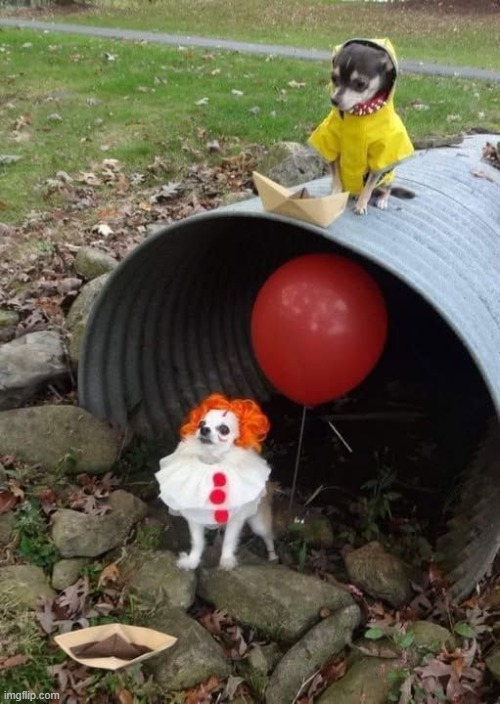 image tagged in stephen king,it clown sewers,horror,pennywise,pennywise the dancing clown | made w/ Imgflip meme maker