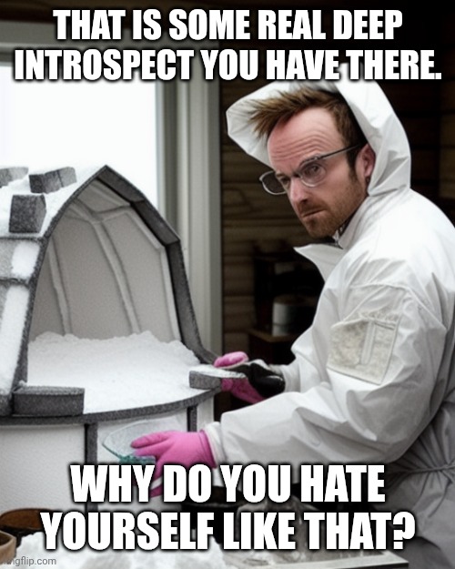 Snowcones | THAT IS SOME REAL DEEP INTROSPECT YOU HAVE THERE. WHY DO YOU HATE YOURSELF LIKE THAT? | image tagged in snowcones | made w/ Imgflip meme maker
