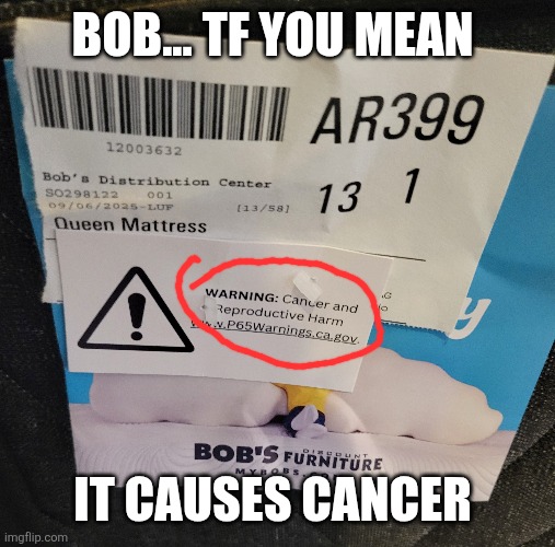 Bro what | BOB... TF YOU MEAN; IT CAUSES CANCER | image tagged in cancer | made w/ Imgflip meme maker