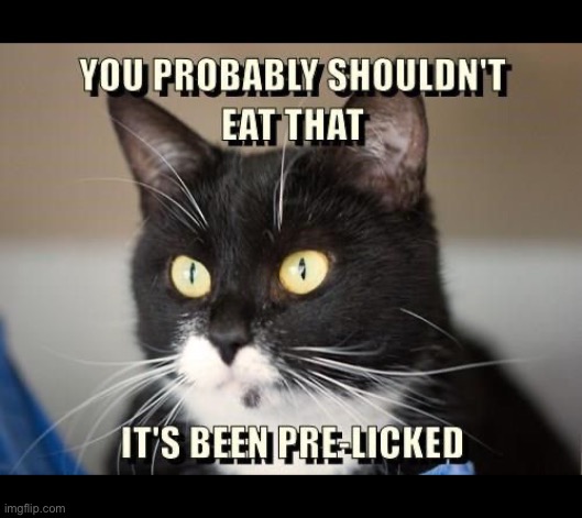 At least he was nice enough to let you know… | image tagged in cats,warning,pre licked | made w/ Imgflip meme maker