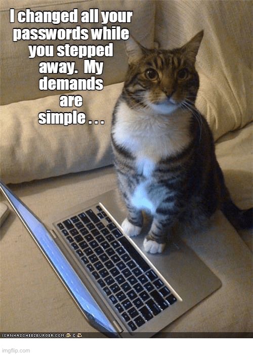 He just wants… everything! | image tagged in cats,blackmail,demands,passwords changed | made w/ Imgflip meme maker