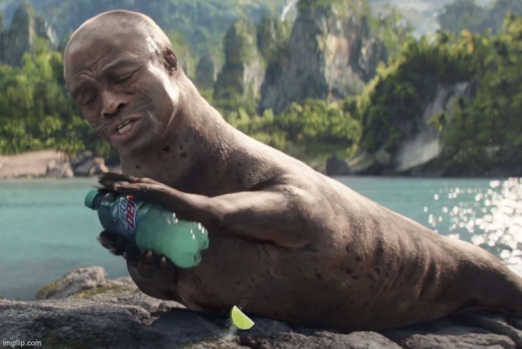 fuck the nat drama, here's this seal | image tagged in msmg | made w/ Imgflip meme maker
