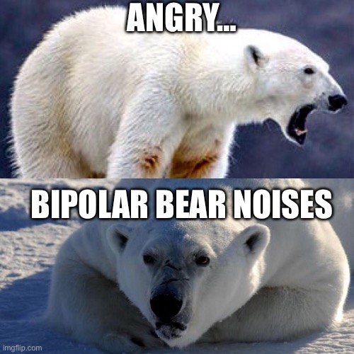 BiPolar Bear | ANGRY…; BIPOLAR BEAR NOISES | image tagged in bipolar bear | made w/ Imgflip meme maker