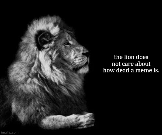 the lion.. | the lion does not care about how dead a meme is. | image tagged in the lion | made w/ Imgflip meme maker