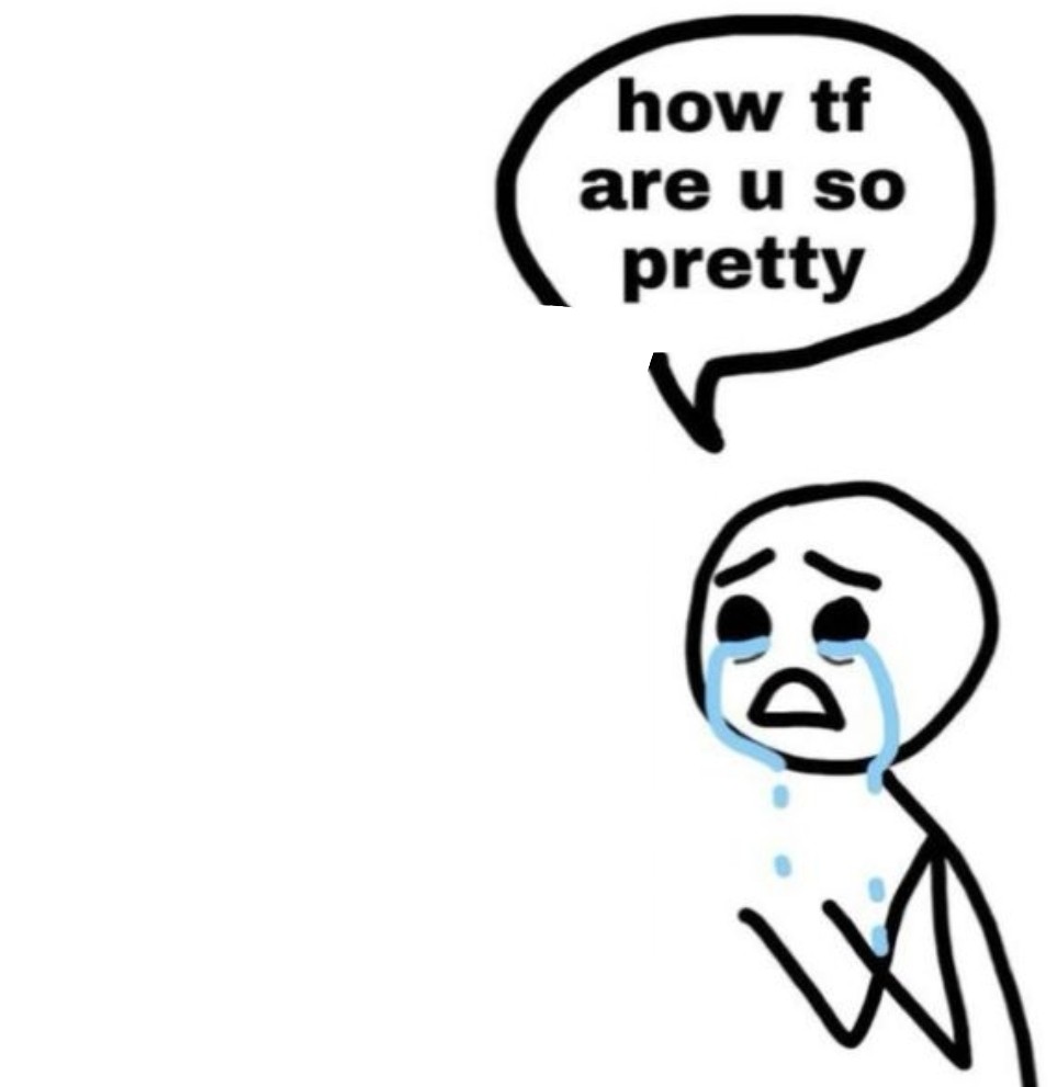 How TF are you so pretty Blank Meme Template