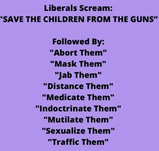 Liberal Screaming Hypocrisy | image tagged in libtards,liberal logic,liberal privilege,liberal hypocrisy,crying liberal,fake people | made w/ Imgflip meme maker