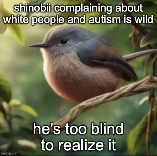 No balls | shinobii complaining about white people and autism is wild; he's too blind to realize it | image tagged in no balls | made w/ Imgflip meme maker