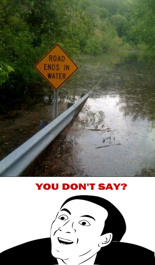 Road Ends? Really? | image tagged in you don't say,obviously,underwater,road signs,sarcasm,really | made w/ Imgflip meme maker