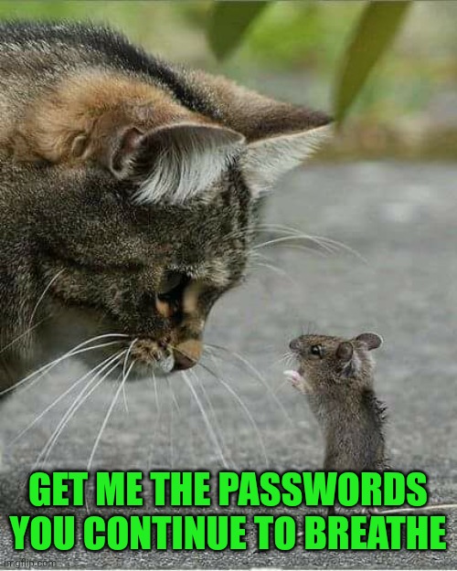 Cat and mouse | GET ME THE PASSWORDS YOU CONTINUE TO BREATHE | image tagged in cat and mouse | made w/ Imgflip meme maker
