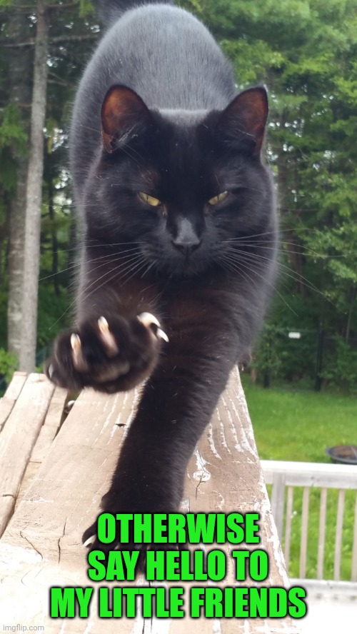 black cat claws pissed | OTHERWISE
SAY HELLO TO MY LITTLE FRIENDS | image tagged in black cat claws pissed | made w/ Imgflip meme maker
