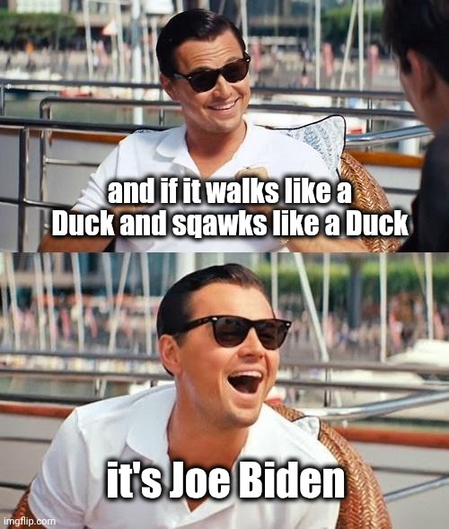 Leonardo Dicaprio Wolf Of Wall Street Meme | and if it walks like a Duck and sqawks like a Duck it's Joe Biden | image tagged in memes,leonardo dicaprio wolf of wall street | made w/ Imgflip meme maker