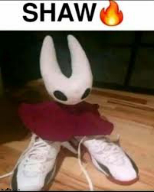 shaw meme silksong | image tagged in shaw meme silksong | made w/ Imgflip meme maker