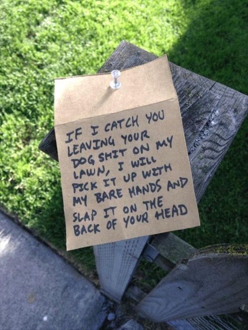 "Shit Head" | image tagged in shit,dog poop,threats,funny signs,get off my lawn,hilarious memes | made w/ Imgflip meme maker
