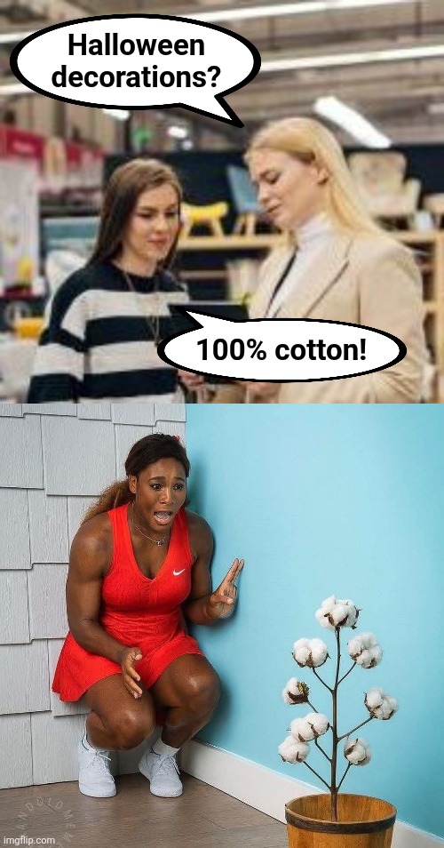 Headline: "Serena Williams gets triggered by a cotton plant in her luxury hotel suite" | Halloween
decorations? 100% cotton! | image tagged in memes,serena williams,cotton,halloween,decorations,democrats | made w/ Imgflip meme maker
