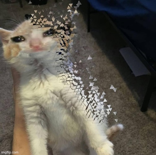 Thanos Cat | image tagged in thanos cat | made w/ Imgflip meme maker