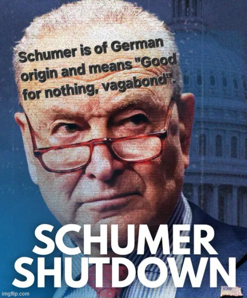 Schumer shutdown | image tagged in political,reposts,schumer shutdown | made w/ Imgflip meme maker