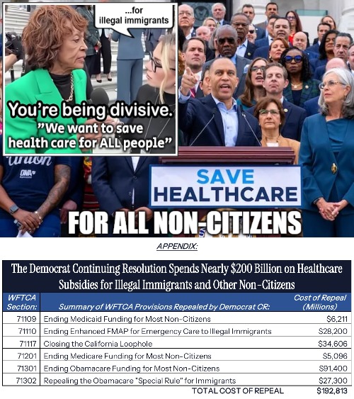 "All People" - smart choice of words. Citizen healthcare is enough | image tagged in democrats,healthcare,illegal immigrants,american politics,government shutdown | made w/ Imgflip meme maker