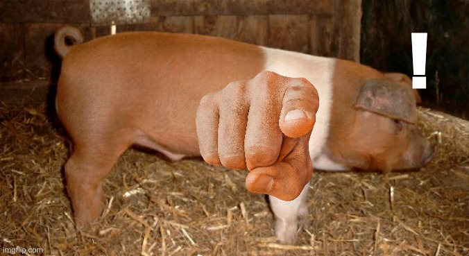 ! | image tagged in danish protest pig | made w/ Imgflip meme maker